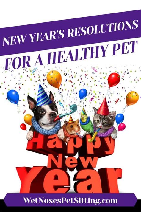 New Year’s Resolutions for a Healthy Pet - Wet Noses Pet Sitting