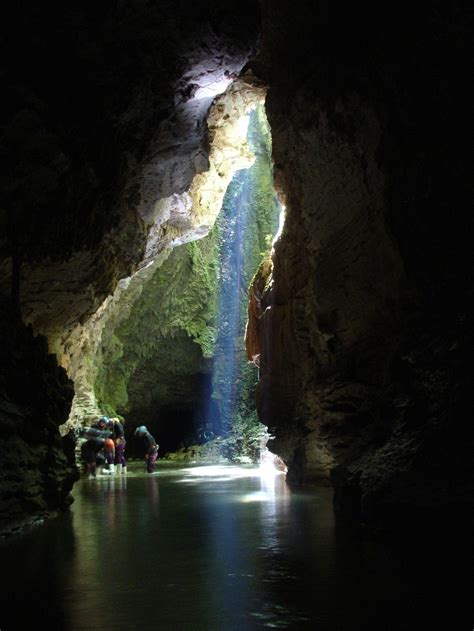 Ashok's Blog: Waitomo Glowworm Caves