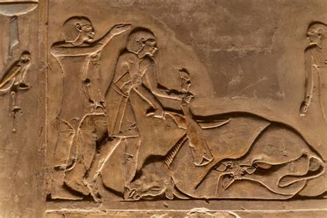 20+ Tomb Of Seti I Stock Photos, Pictures & Royalty-Free Images - iStock