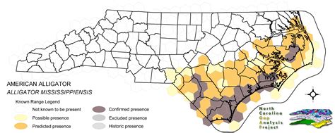 American Alligator Habitat Map