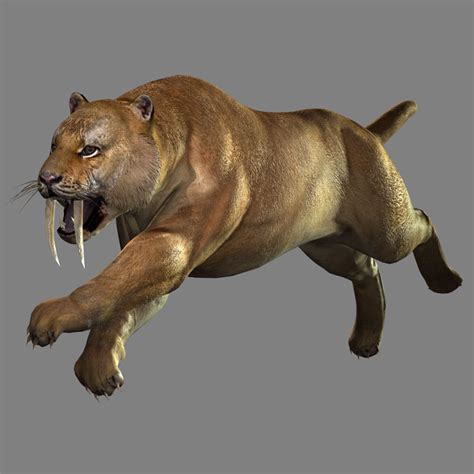 Image - Saber-toothed Cat (DW8 DLC).jpg | Koei Wiki | FANDOM powered by ...