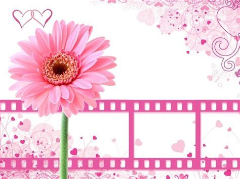 Wallpapers Pink Backgrounds - Wallpaper Cave