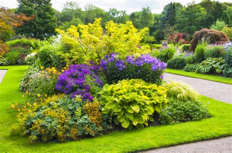 Small Garden Hedge Ideas - Garden Design