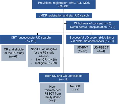 Treatment allocation according to CONSORT guidelines AML acute myeloid ...