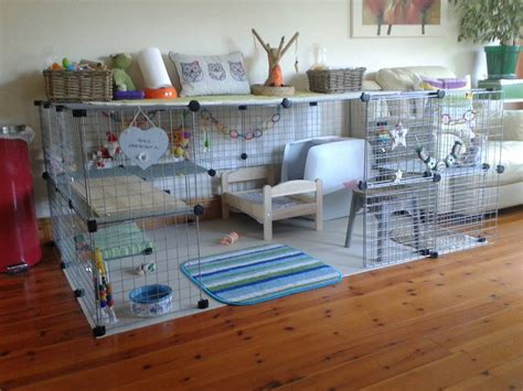 Best Indoor Rabbit Setup | Rabbits United Forum