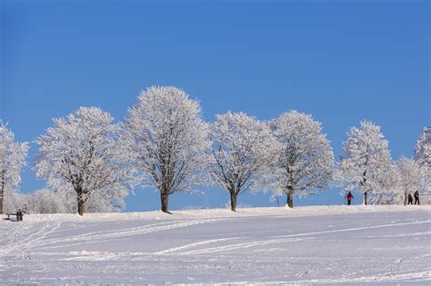 90,000+ Free Winter- & Snow Images - Pixabay