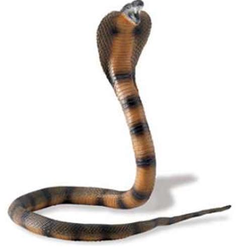 Cobra Snake Plastic Toy at Anwo.com Animal World®