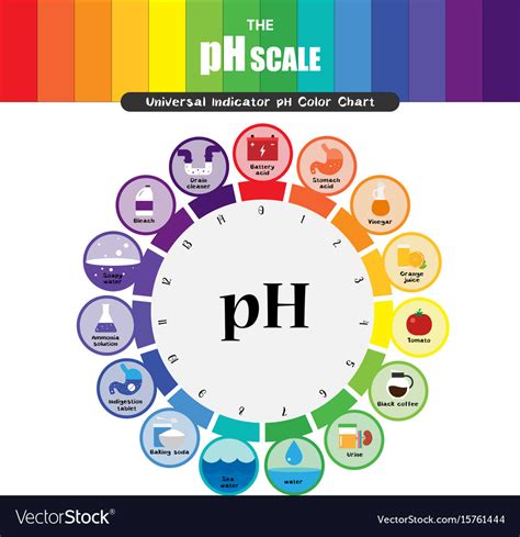 Ph Scale To Colour In