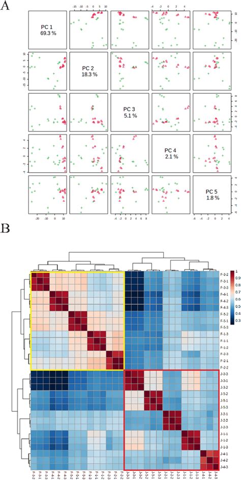 Model of the GC–MS data analysis of the different Fu'an black tea ...