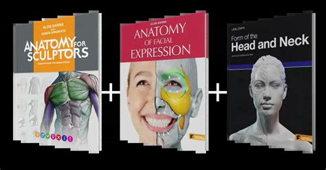 Shop | Anatomy For Sculptors