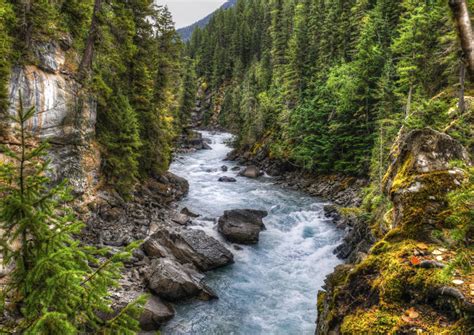 The Best Fraser River Tours & Tickets 2019 - Jasper | Viator