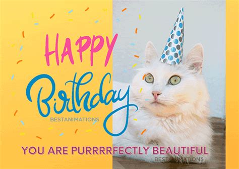 Funny Happy Birthday Cat Gif