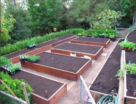 Best vegetable garden layout plan - solutionsmilo