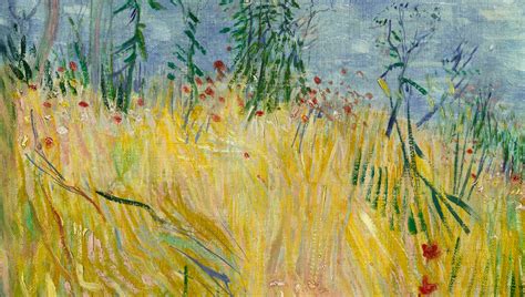 Vincent van Gogh: The Paris Wheat Field | Denver Art Museum