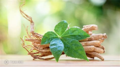 5 Phenomenal Health Benefits of Ginseng Root