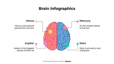 Brain Infographics