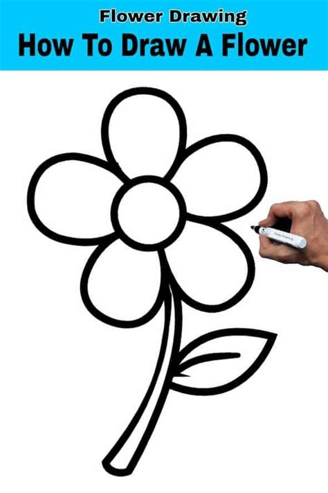 Easy Pictures To Draw Of Flowers