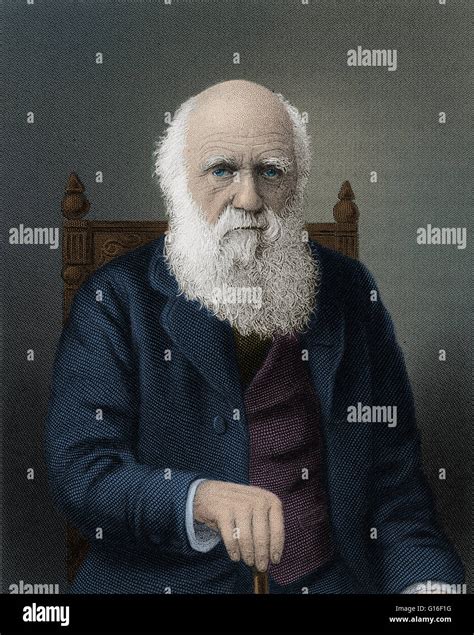 Line engraving of Charles Darwin (1809-1882) at the age of 80 by Conrad ...