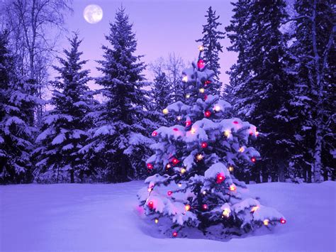 Christmas Lights Wallpapers and Screensavers - WallpaperSafari