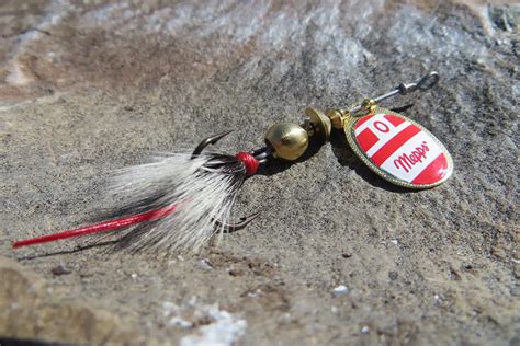 The 10 Best Trout Lures for Rivers and Streams – Tilt Fishing