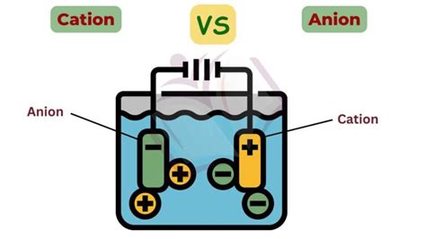 Difference Between Cation And Anion