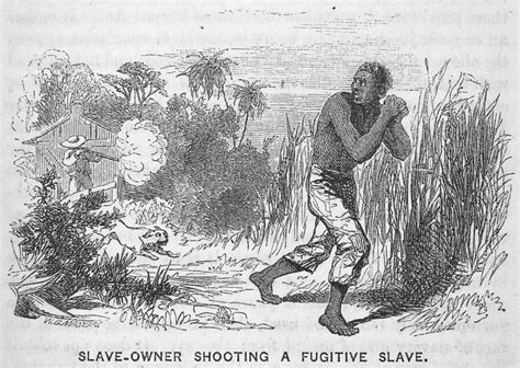 Fugitive Slaves in Indiana: A Study in Newspapers | Hoosier State ...