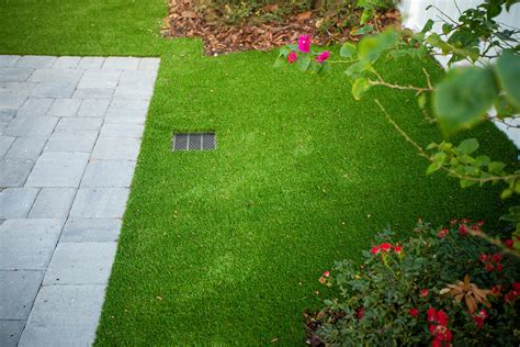 Artificial Turf For Dogs: Pros and Cons You Should Consider in Florida