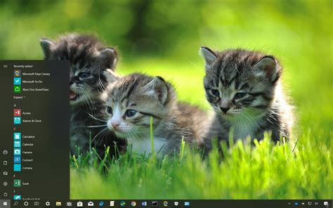 Windows Animal Wallpapers - Top Free Windows Animal Backgrounds ...