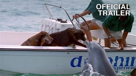 Dolphins - Top Documentary Films