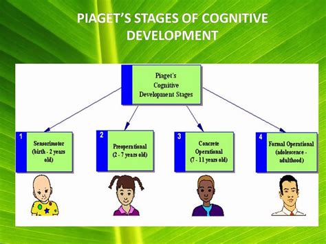 Piaget's Schematic Development Theory Piaget Schema Theory I