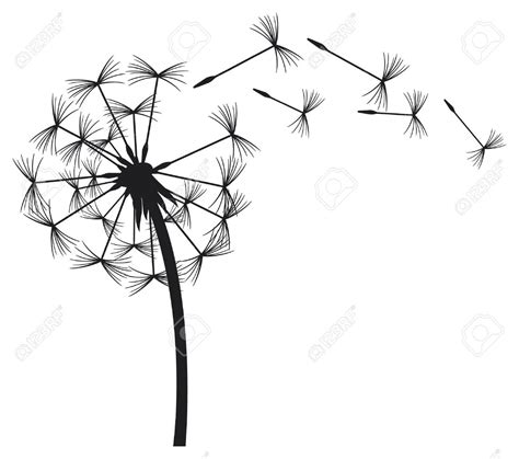 Dandelion Blowing In The Wind Drawing | Free download on ClipArtMag