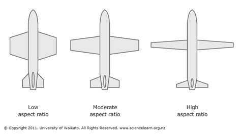 Wing aspect ratios — Science Learning Hub