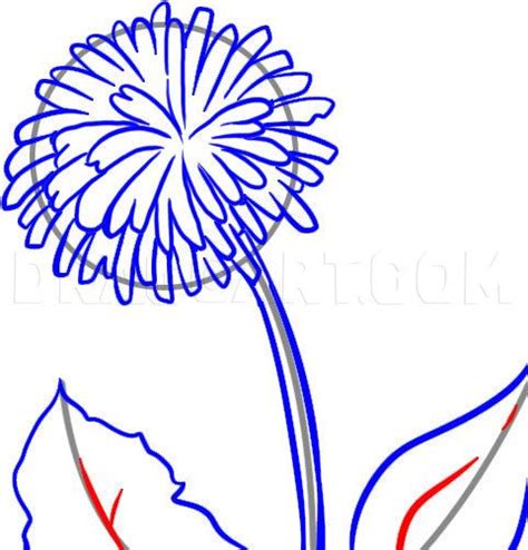 How To Draw A Dandelion, Step by Step, Drawing Guide, by Dawn ...