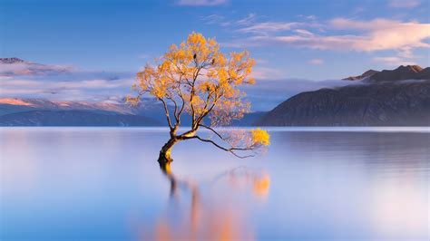 Lake Wanaka Landscape Scenery 4K Wallpaper - Download Free 4K Desktop ...