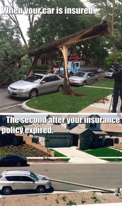 13 Most Hilarious Car Insurance Memes That Will Set Your Mood Right ...