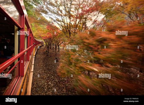 Sagano Scenic Railway, Sagano Romantic train, sightseeing ride along ...