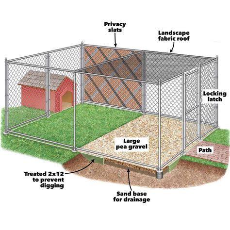 Dog Run Ideas: Definitive Guide To Backyard Dog Potty Areas