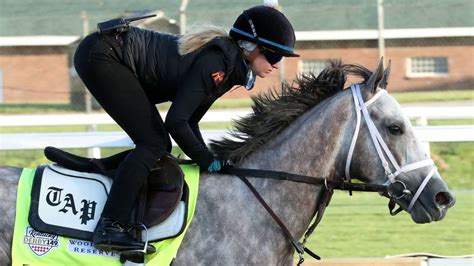 Japan’s Derma Sotogake is a unique Kentucky Derby 2023 story ...