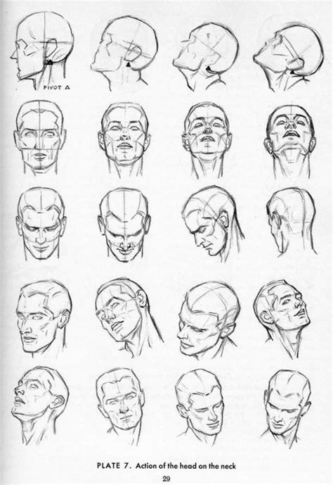 Some drawing references! *Mostly human* - Imgur | Drawing the human ...