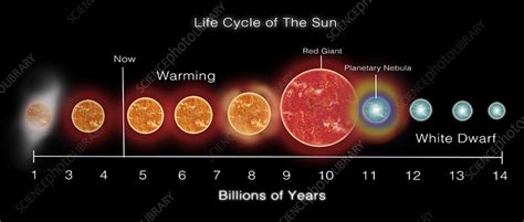 Cycle Of Sun Like Solar System