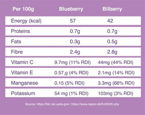 Bilberry vs. blueberry - what are the key differences? – Purple Superfoods