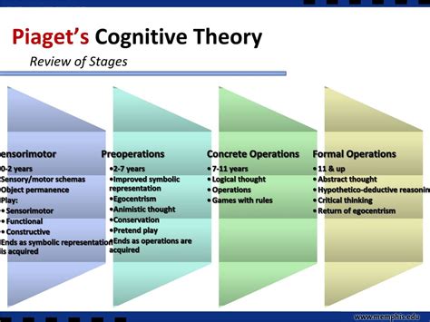 Piaget S 4 Stages Of Cognitive Development Explained - Riset