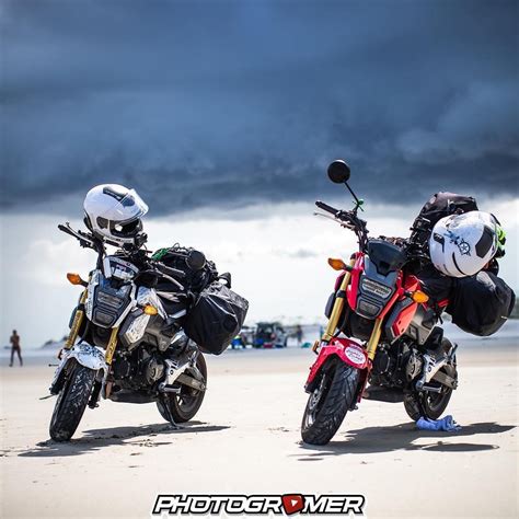 Why Is the Tiny Honda Grom so Popular?