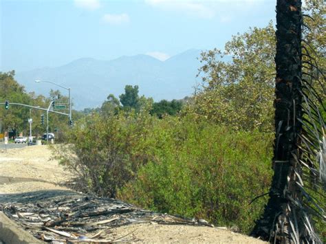 Thunderstorms, Rain Forecast for Lake Forest | Lake Forest, CA Patch