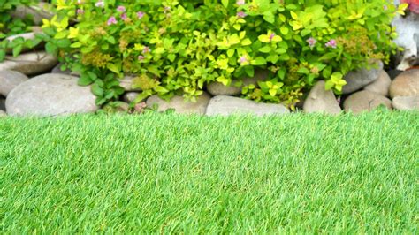 Synthetic Turf - Frontier Outdoors