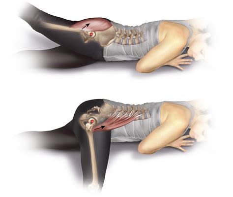 Psoas Major Function: Spinal Joint Actions Sagittal Plane, 54% OFF