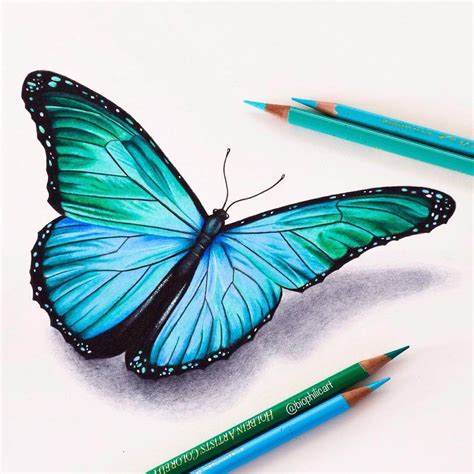 How To Draw A Realistic Butterfly With Colored Pencils😤 Mergulhe Nos