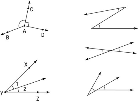 Getting to Know Angle Pairs - dummies