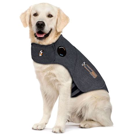 What Is A Thundershirt For A Dog