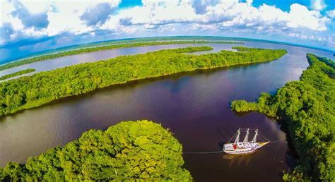 Manaus: Full-Day Tour on the Amazon River | GetYourGuide